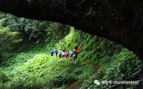 为什么我们得不到疼爱的时候就会哭闹？游戏画面